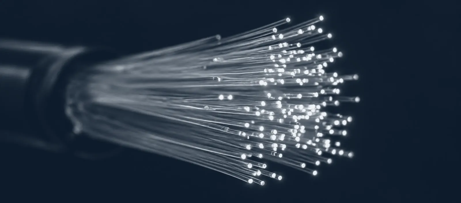 Fibre-optic cables carrying light
